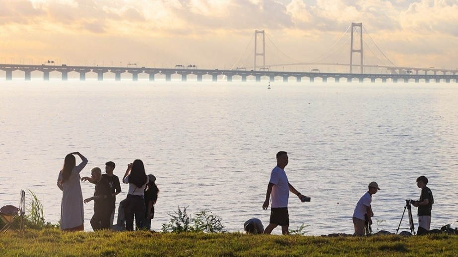 “湾区顶流”养成记：一个打卡点，带火全域游