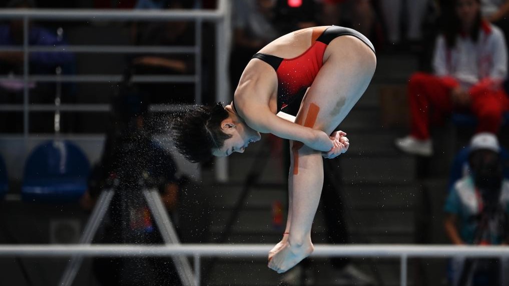 女子三米板“神仙打架”折射中国跳水人才厚度