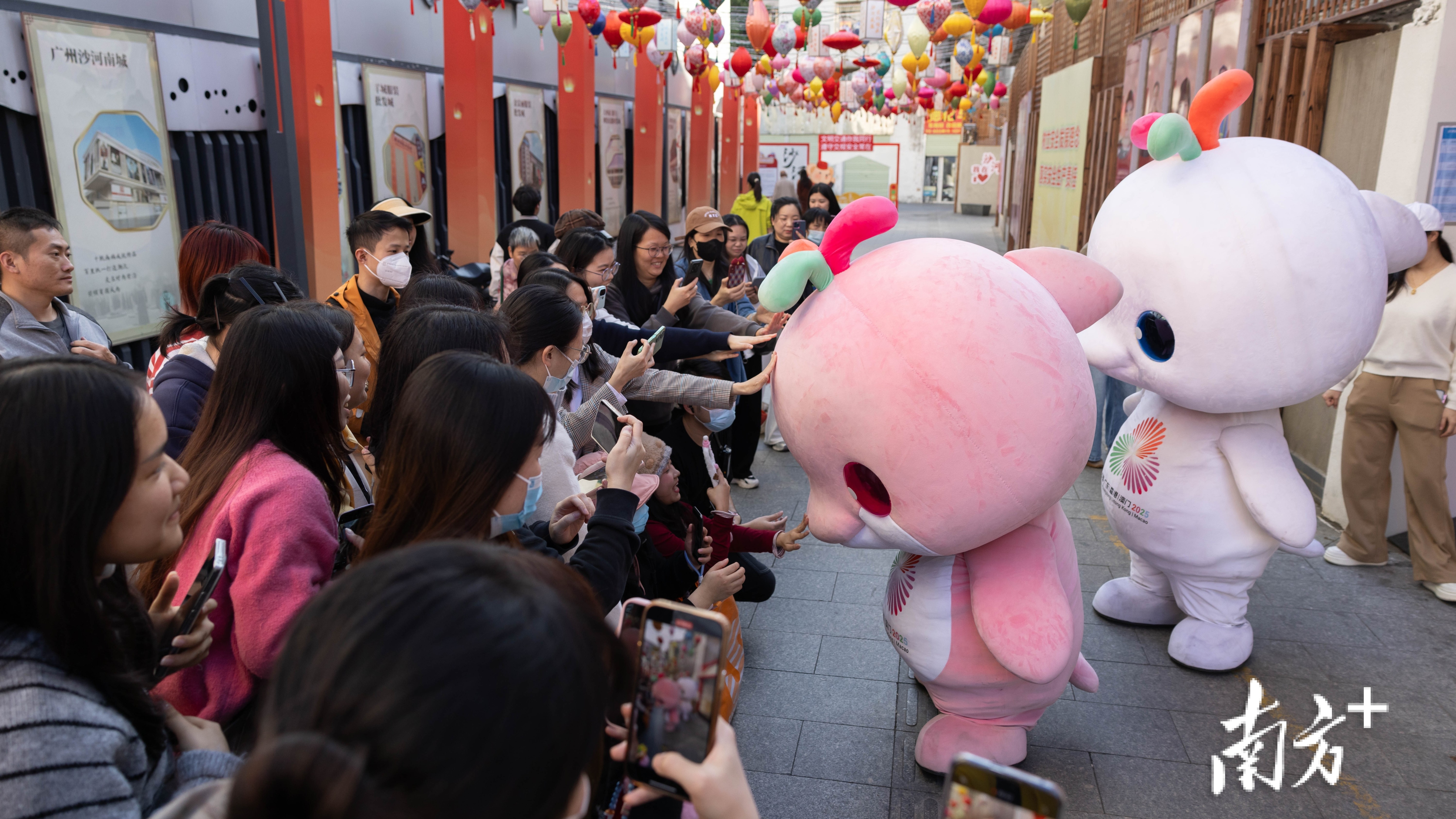 身怀绝技的“喜洋洋”“乐融融”闪亮登场