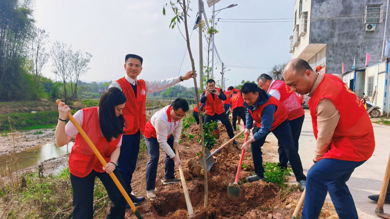 五华“琴青林”再添600株新苗，返乡青年为母亲河添新绿