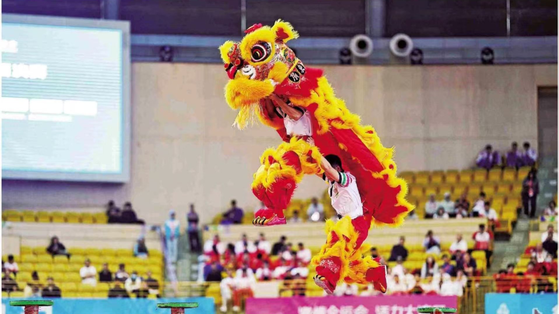 全运汇聚湾区情 青春共筑家国梦