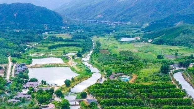 @毕业生，快来深圳这里体验田园都市之旅