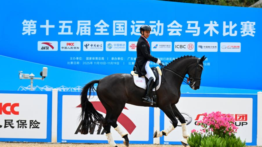 全运会马术盛装舞步个人赛决赛赛况