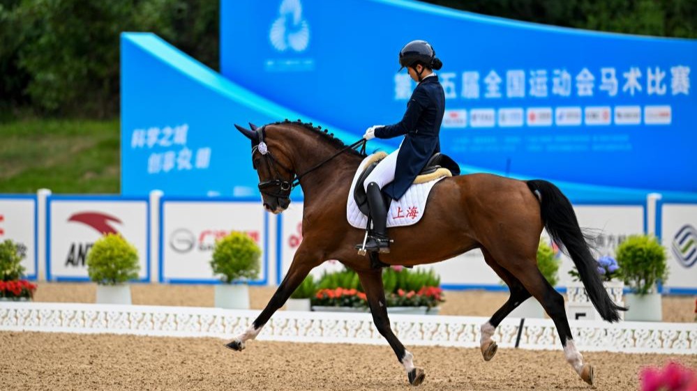 全运会马术比赛后，冠亚季军开启“互夸模式”