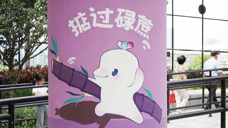 好热好热，你也感受到“全运热情”了吗？