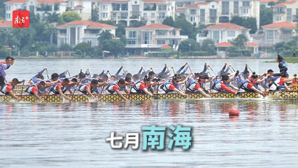    南方+ 杨馥铫 制图