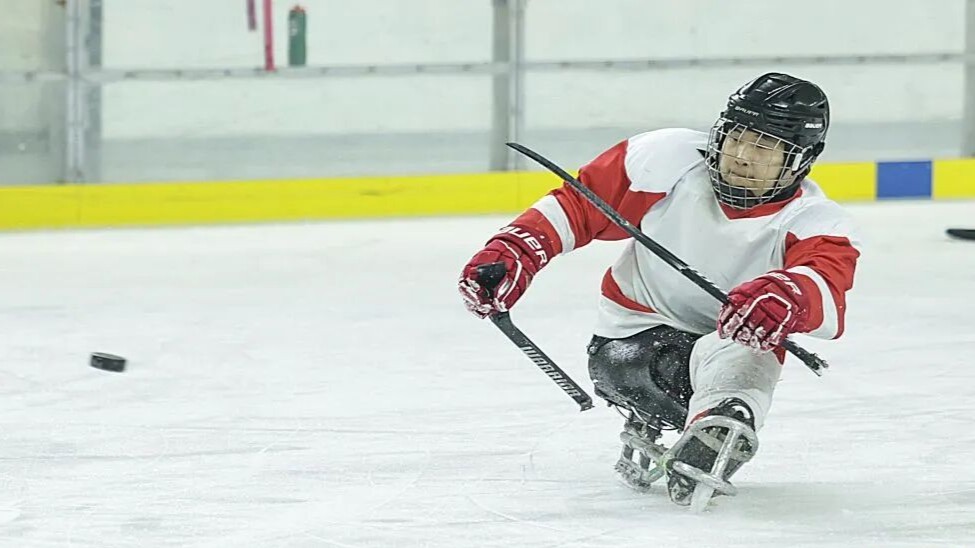 中国轮椅冰壶队、残奥冰球队全力备战冬残奥会